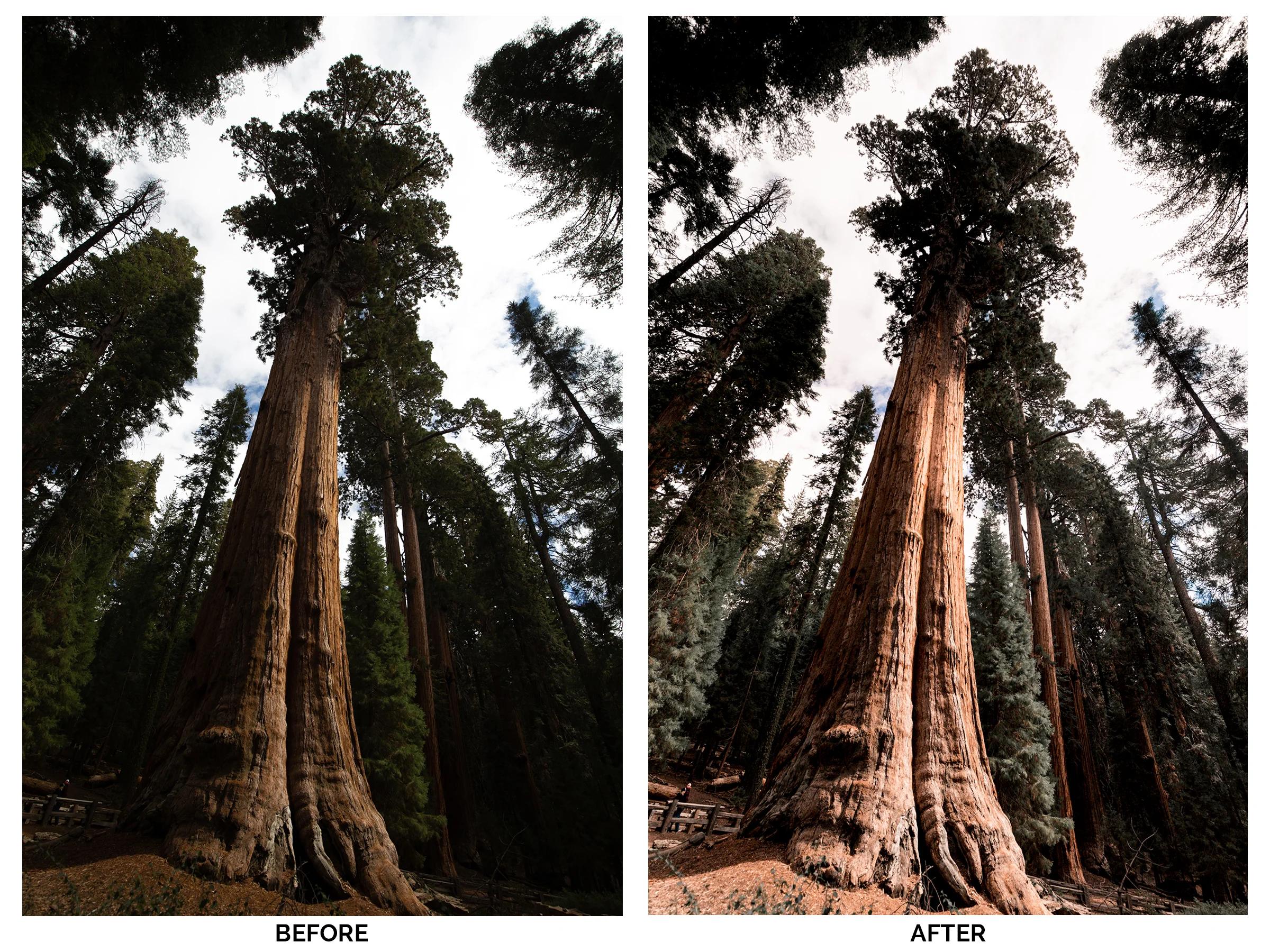 Desaturated Greens - BeforeandAfter..jpg