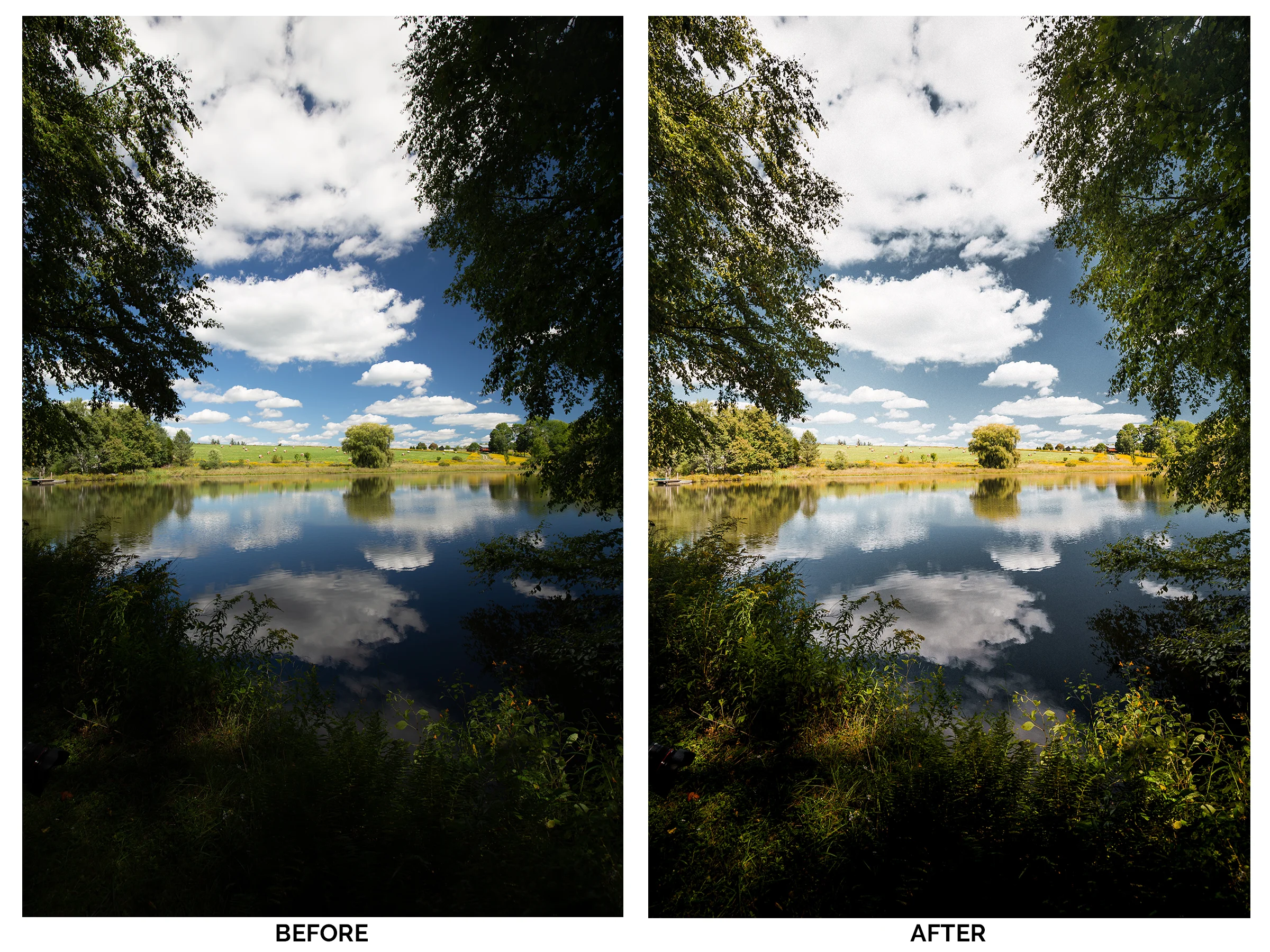 Green Living - BeforeandAfter..jpg