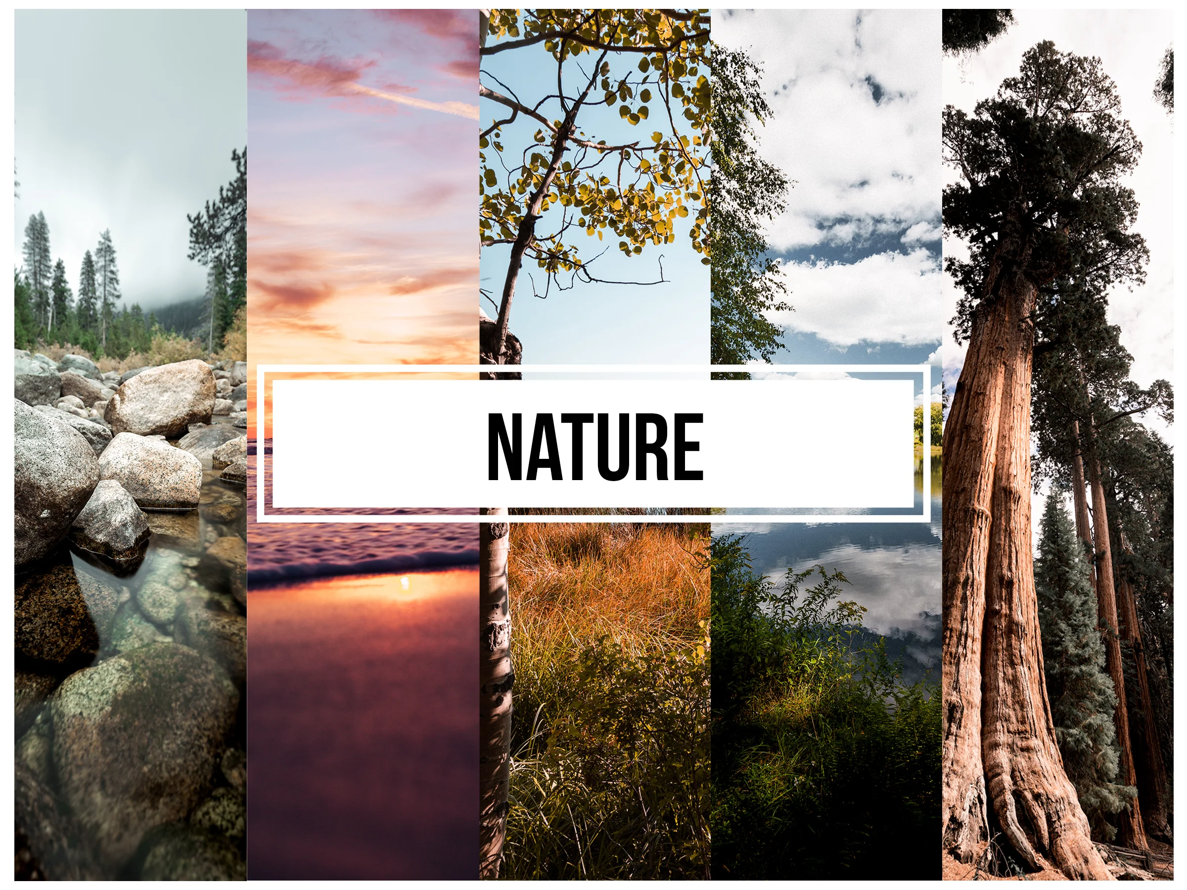 Nature.jpg