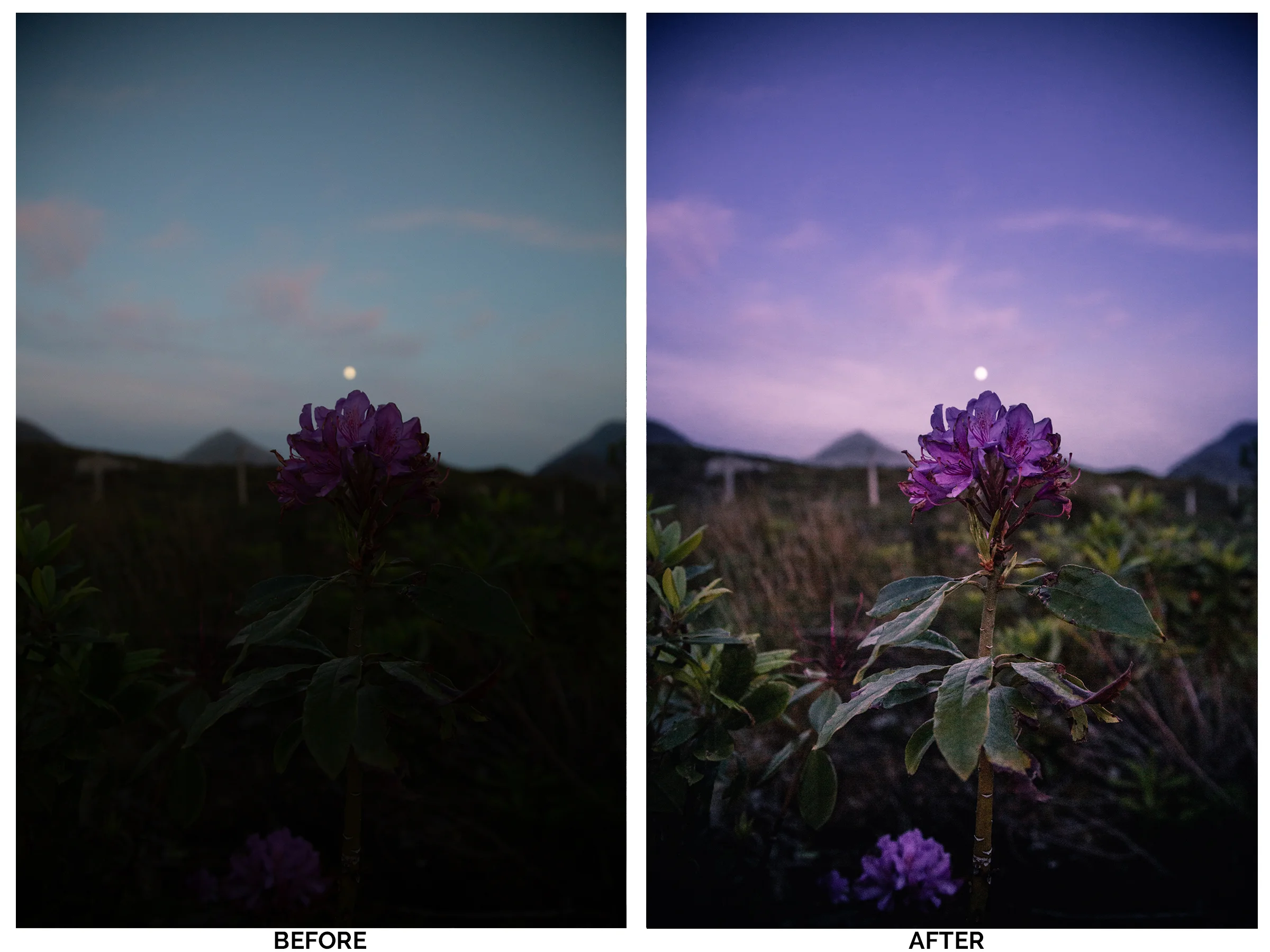 Night Vibes - beforeandafter.jpg