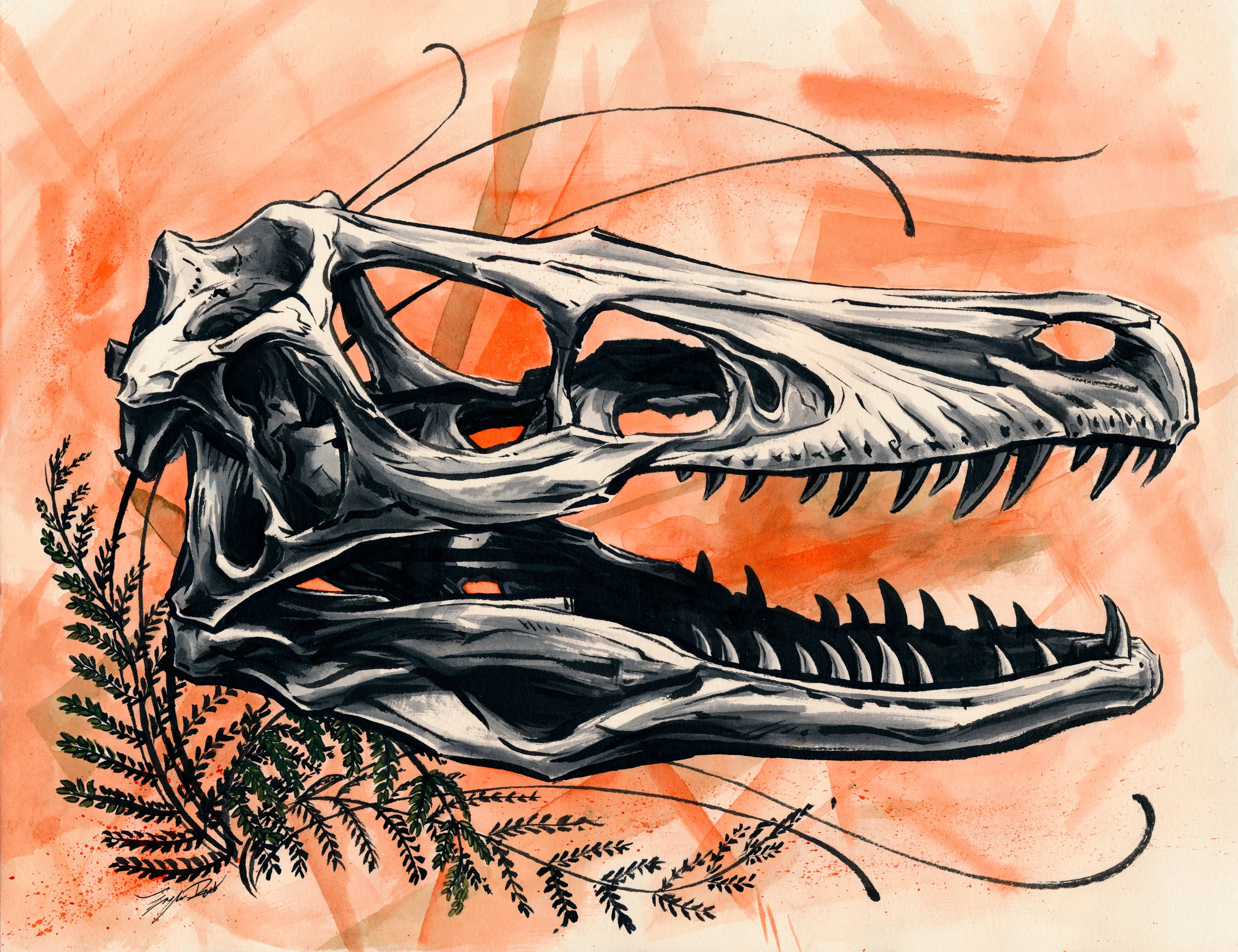 velociraptor.jpg