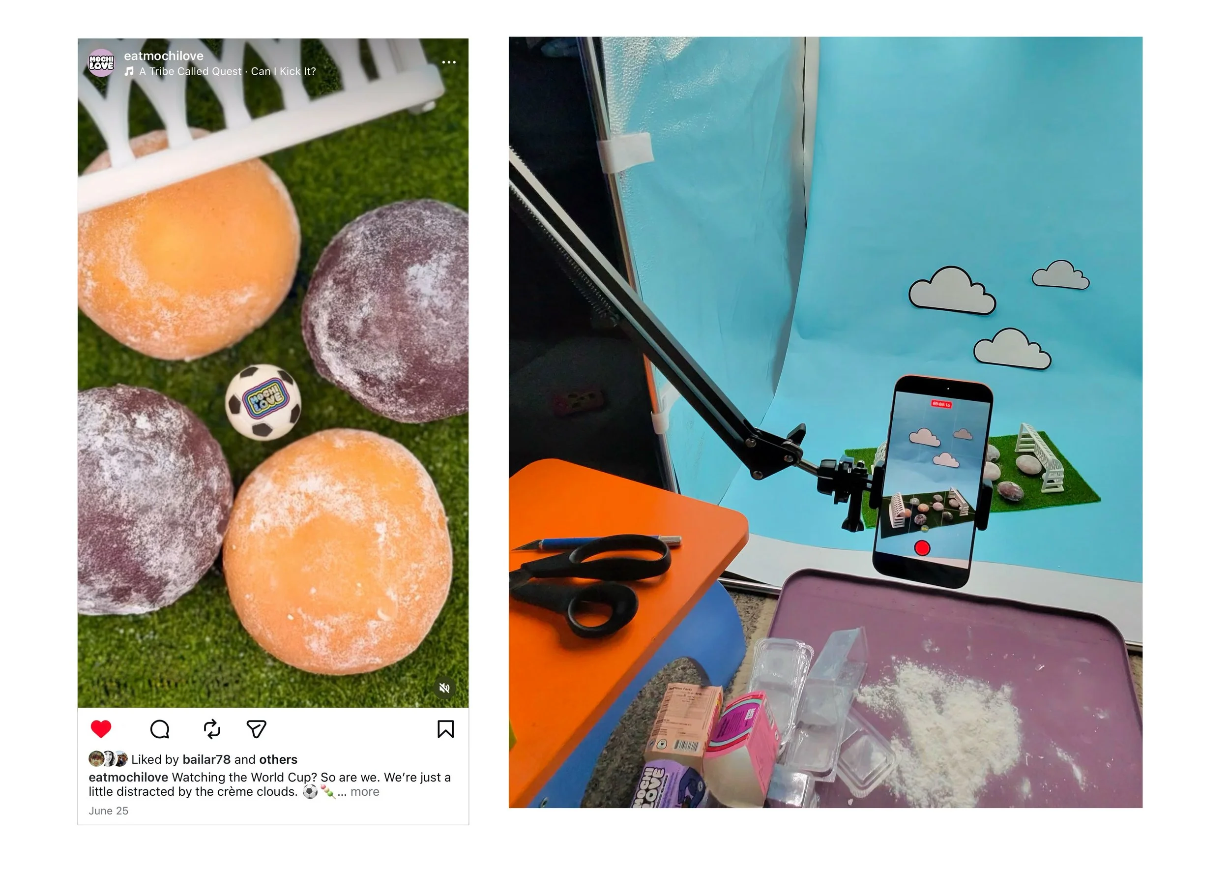 Mochi_portfolio_assets_8.jpg