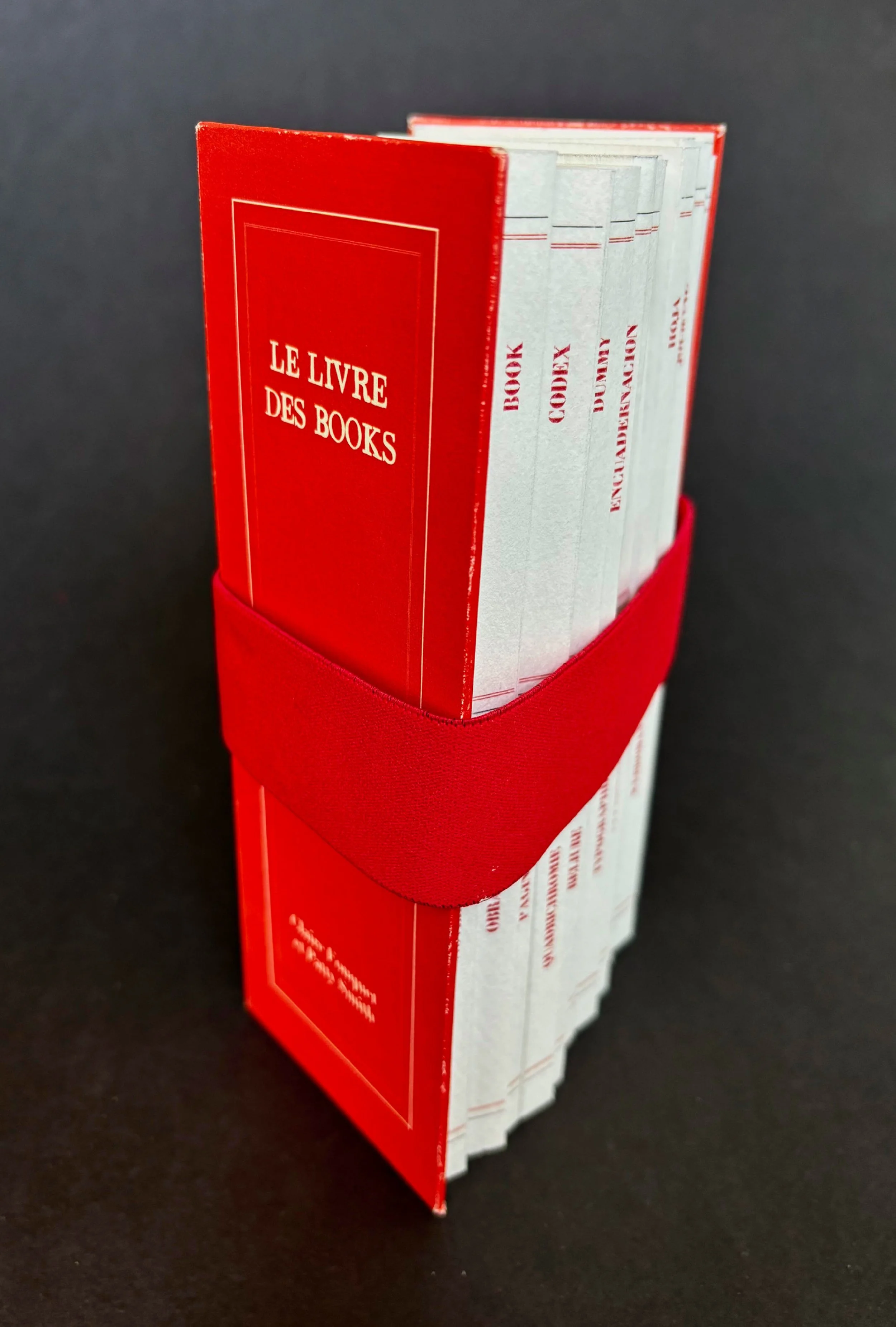   The Book of Livres/ Livre des Books   by Claire Fouquet and Patty Smith   2026   This “livre-library” is composed of 26 miniature books arranged from A to Z. Their titles, in five languages, are drawn from the craft of book arts and reference the c