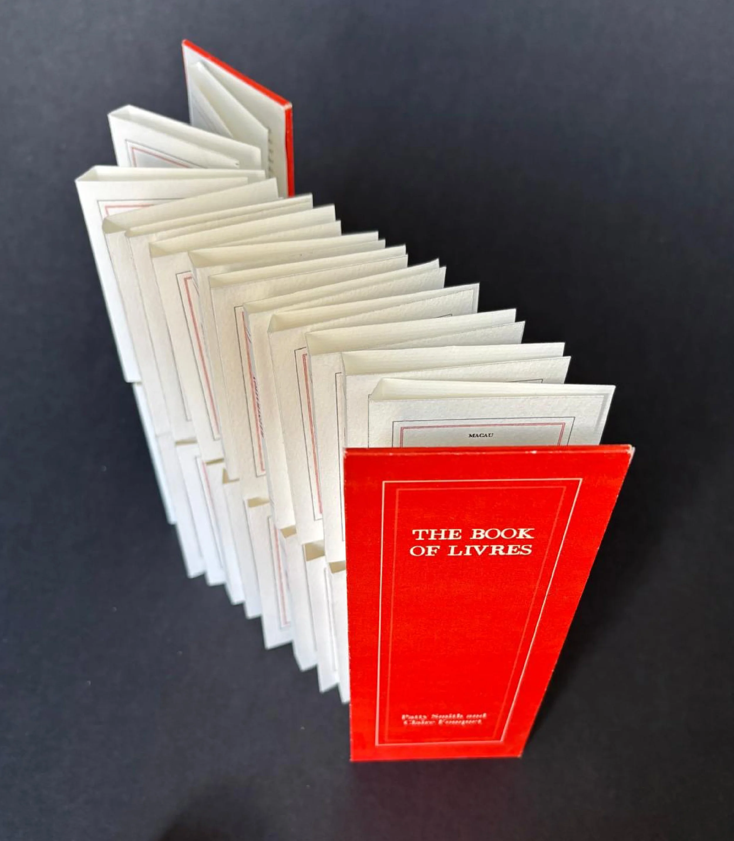 Smith_Patty_Fouquet_Claire_The_Book_of_Livres_Above.jpg