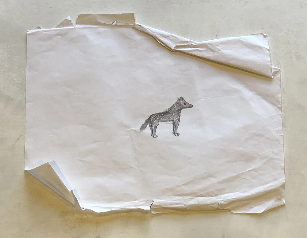 by Suzanna Wong, age 8. This drawing brought back my own memories of many childhood holidays camping by Scottish Lochs surrounded by wildlife and nature.