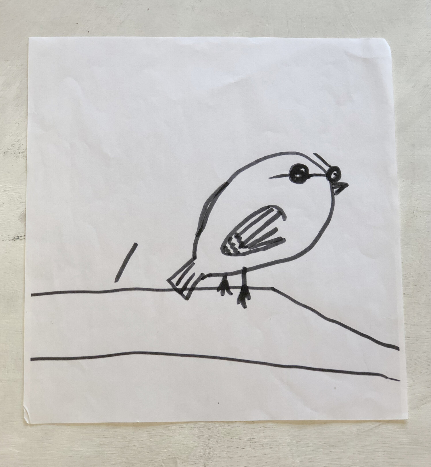 Wren — ELEANOR WONG