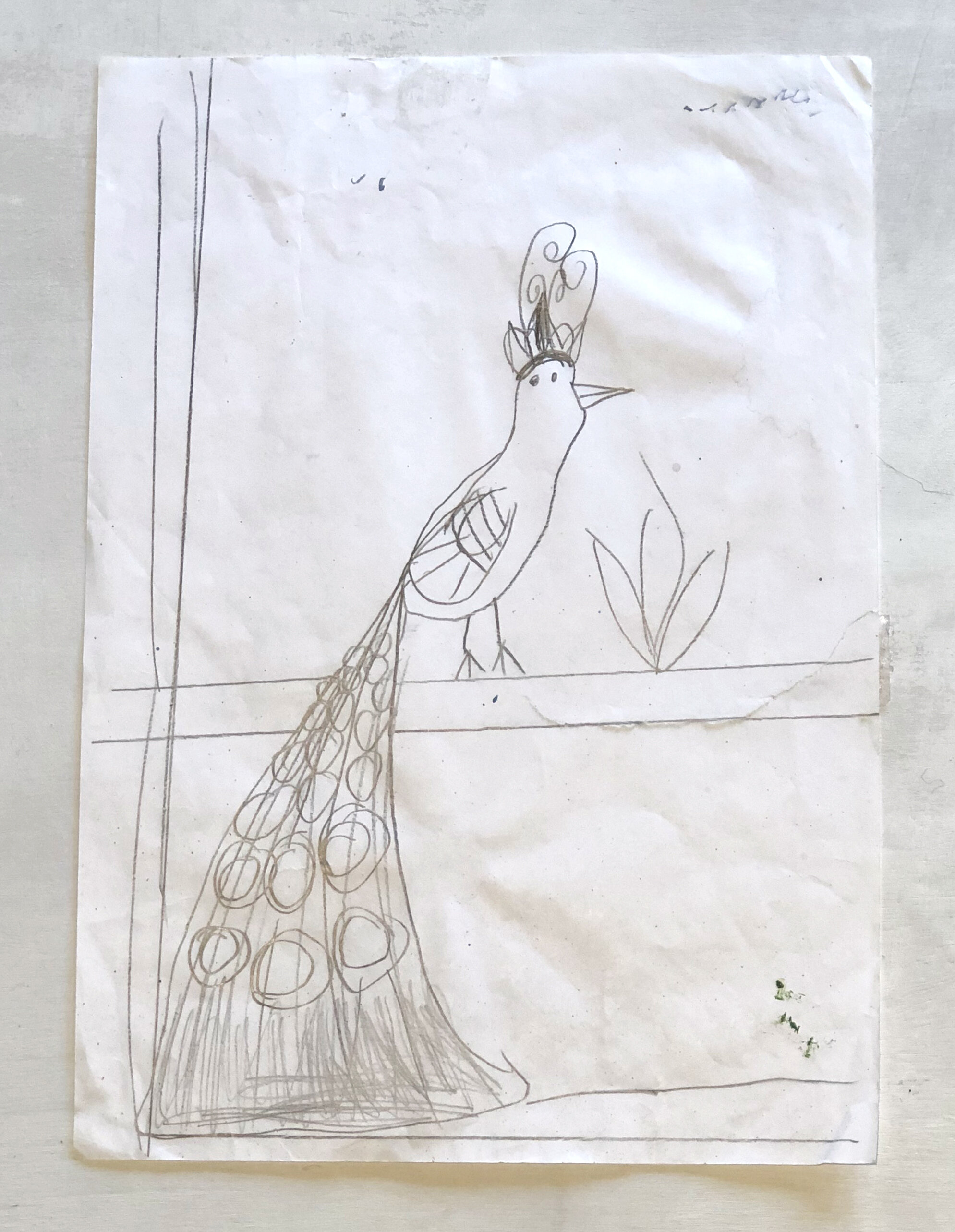  by Suzanna Wong, age 7, with quote “no one can see you but that is good because you don’t want anyone to see you before the grand finale”.     