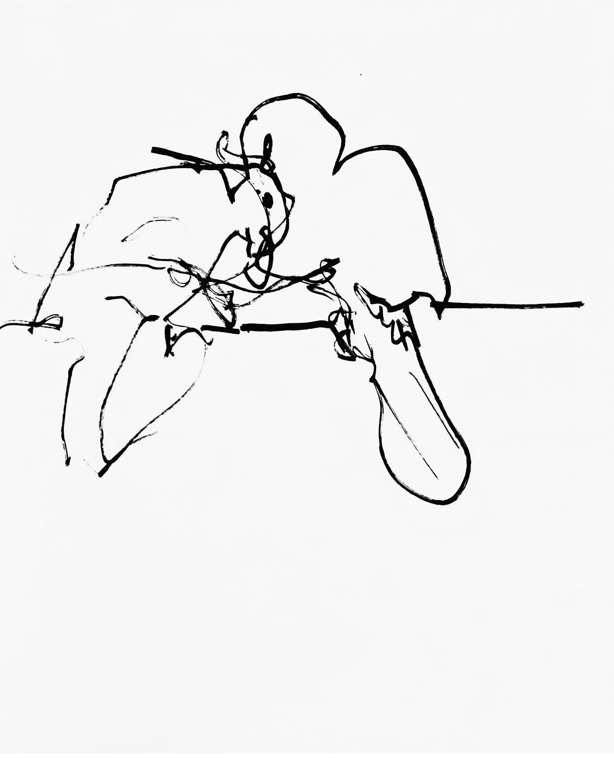 image-asset.jpg