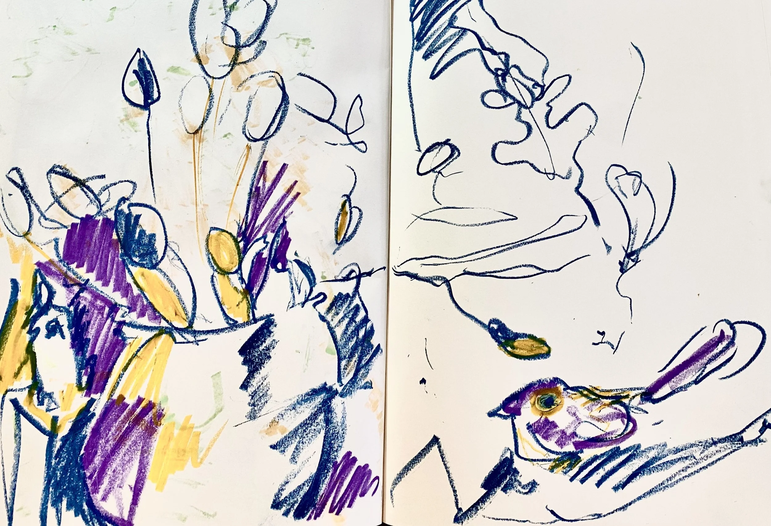 study for birds.jpg