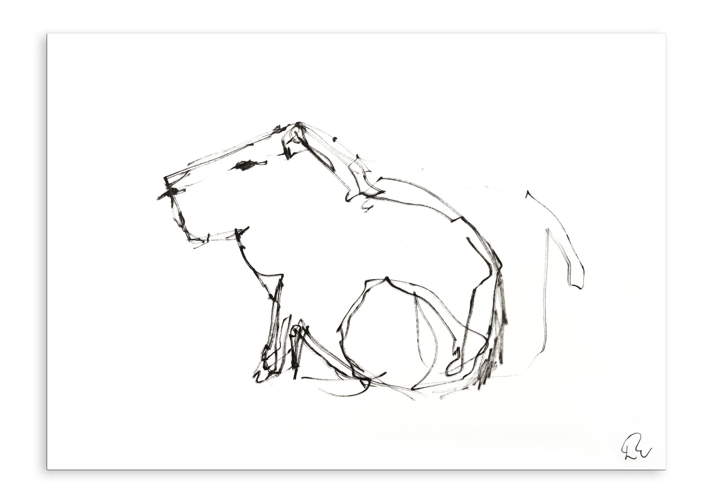 Capybara (George)