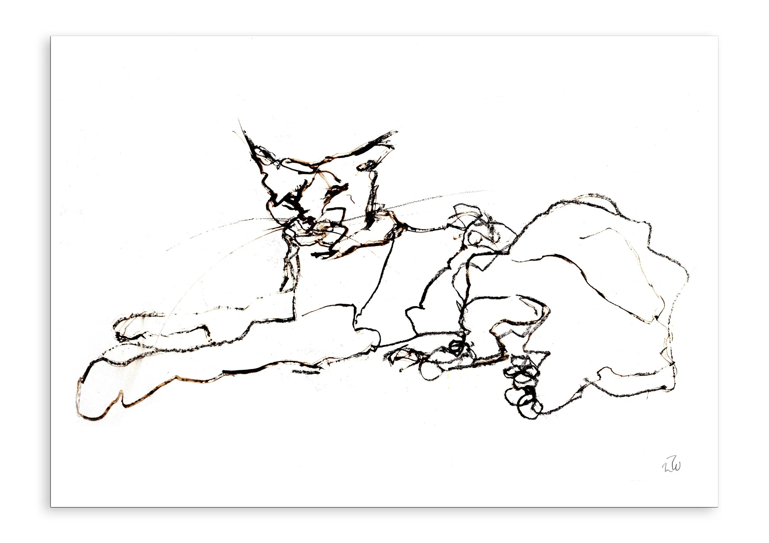 BobCat