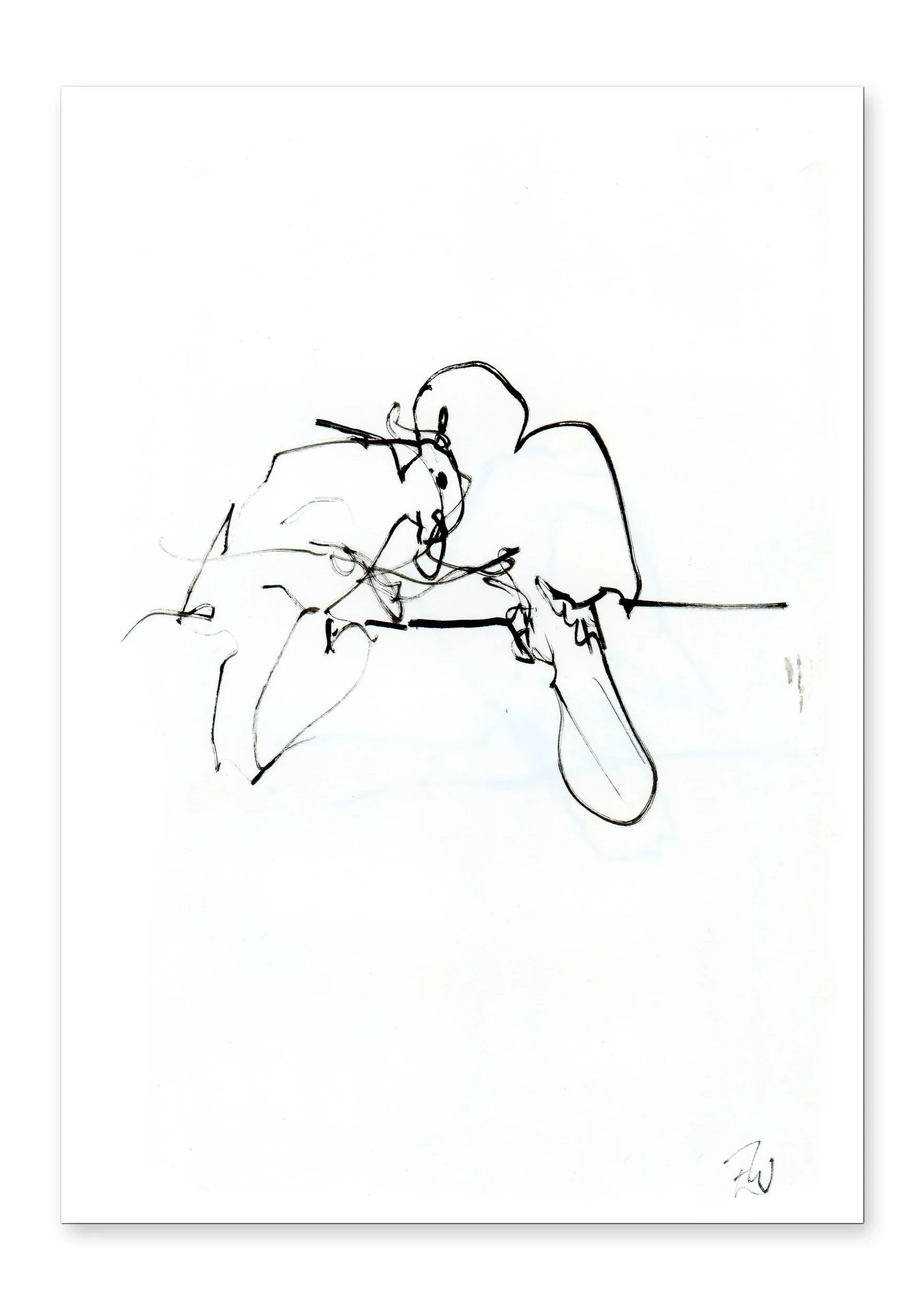 Parrots