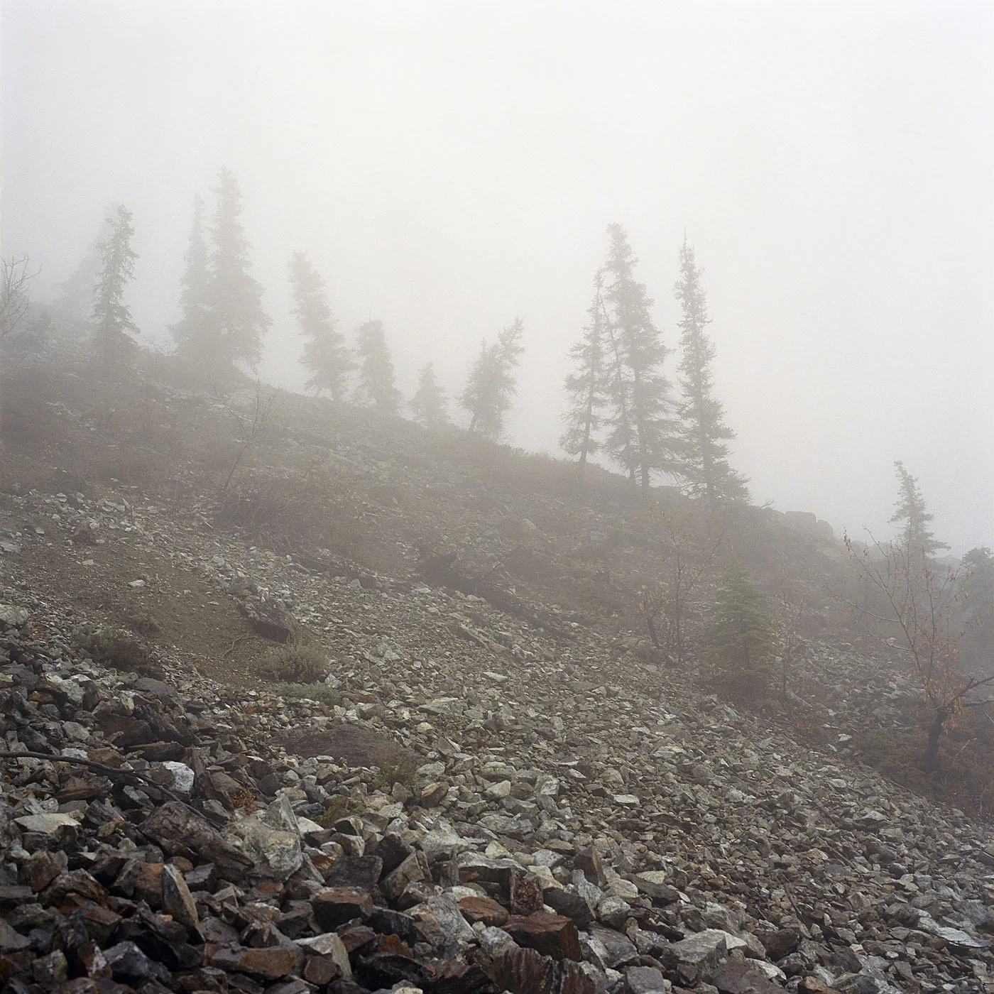 Slide_v01.jpg