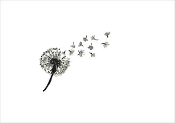 Thumbnails_20140726_FirstCollection2(2).jpg
