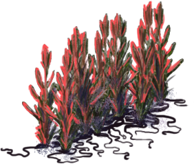 plants1.png