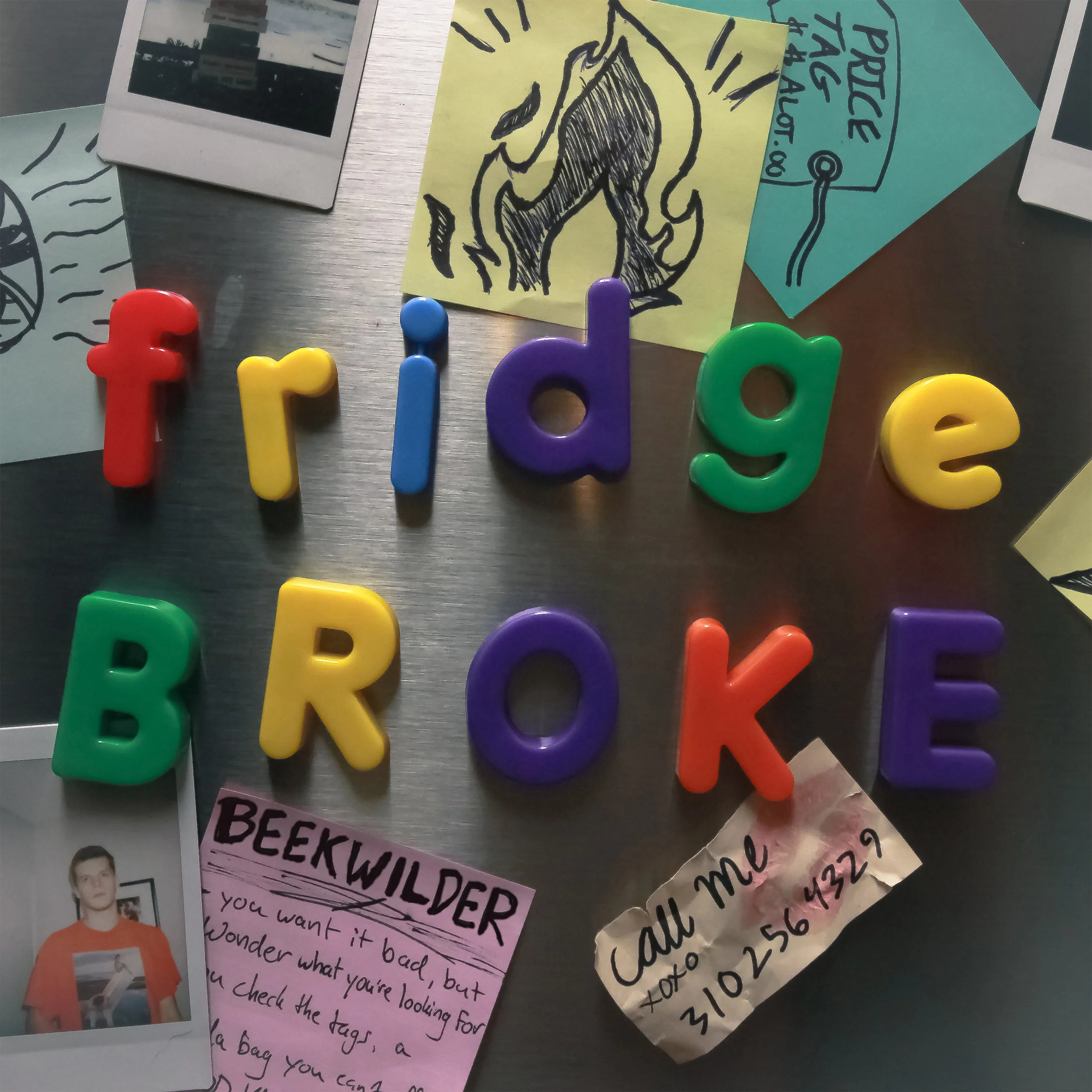 Fridge Broke final coverBOLD.jpg