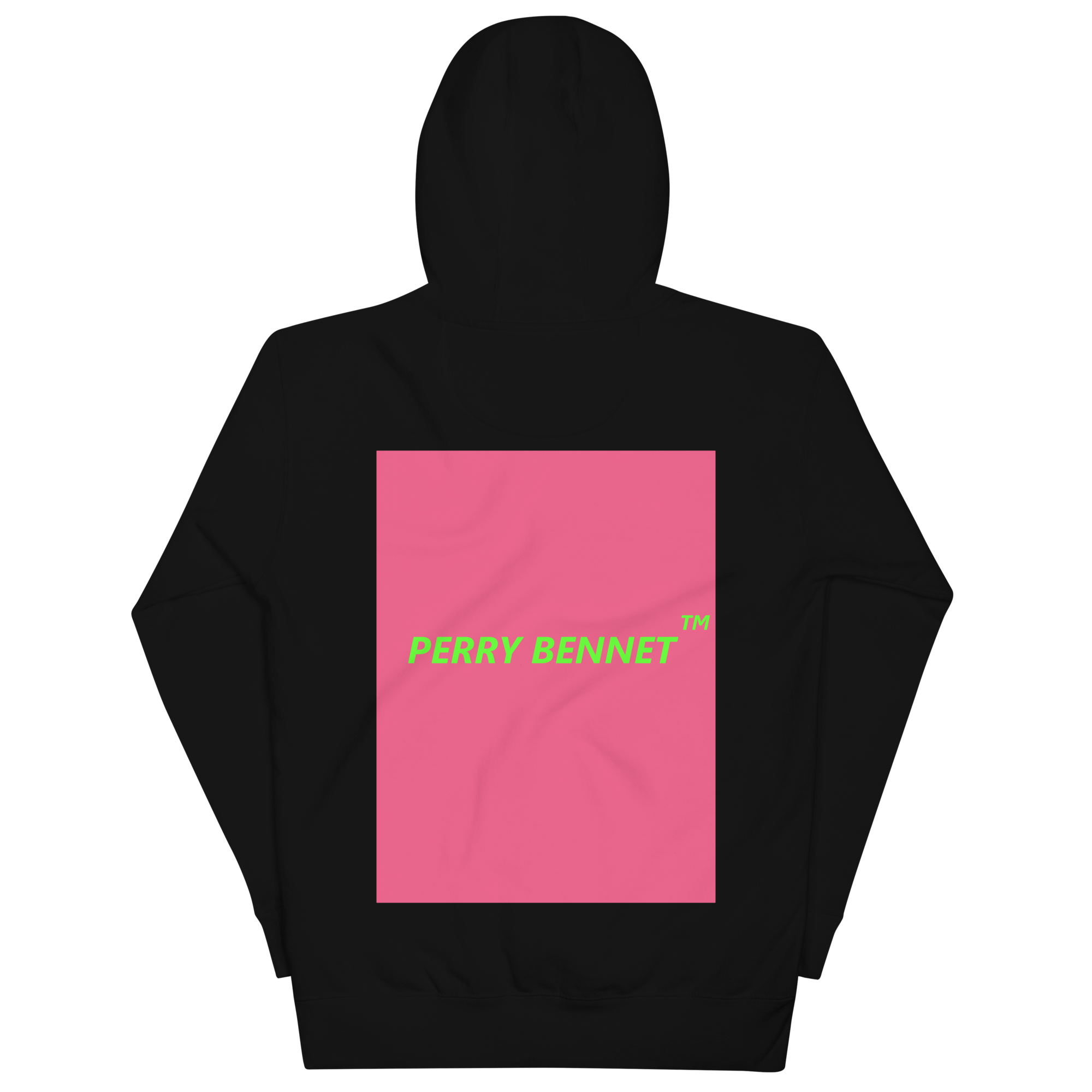 unisex-premium-hoodie-black-back-65b83a38a81c1.png
