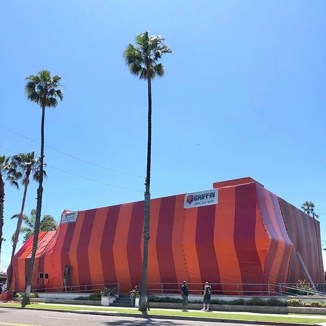 We are taking this whole quarantine thing to the next level!! Oside shop will be open tomorrow (Sunday)! Book an appointment online today(link in bio)and get ready for those beaches to be opened up again!
#SurfingIsNotACrime #SurfingIsEssential