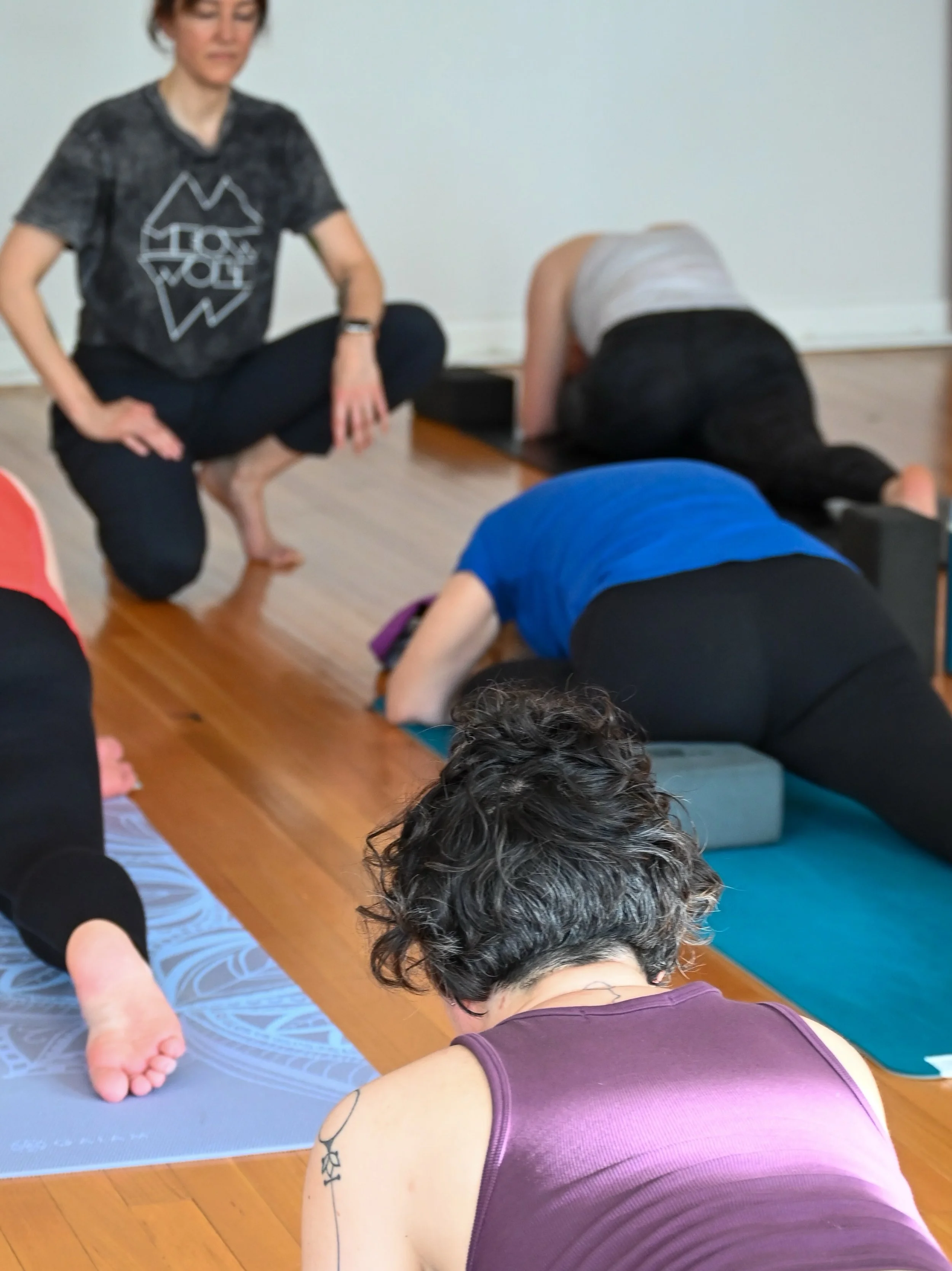 Weekend request: Move your body, clear your brain, and embrace your life like a slightly more evolved creature.

Friday
7am Heated Vinyasa 60 with @kristalee.h 
5:30pm Heated Vinyasa 60 with @buddhacaffe

Saturday
7:30am Heated Vinyasa 60 with @steph