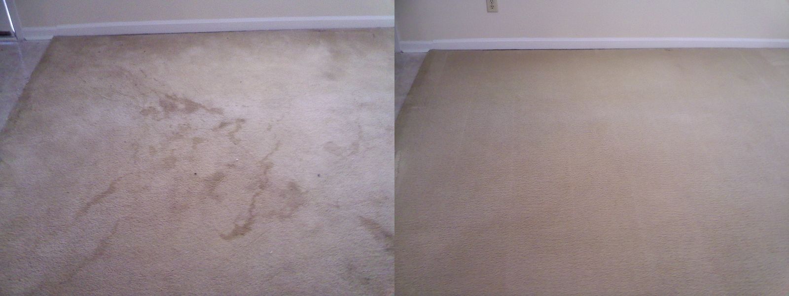 Pet Stains
