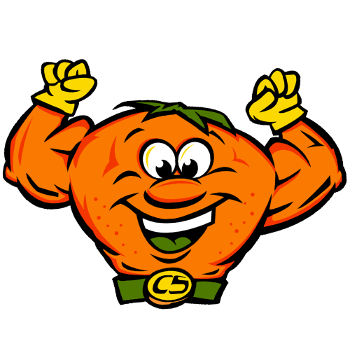 CitruSolution Carpet Cleaning | Best Carpet Cleaning In Cobb | Marietta, Powder Springs, Smyrna, Vinings, Mableton