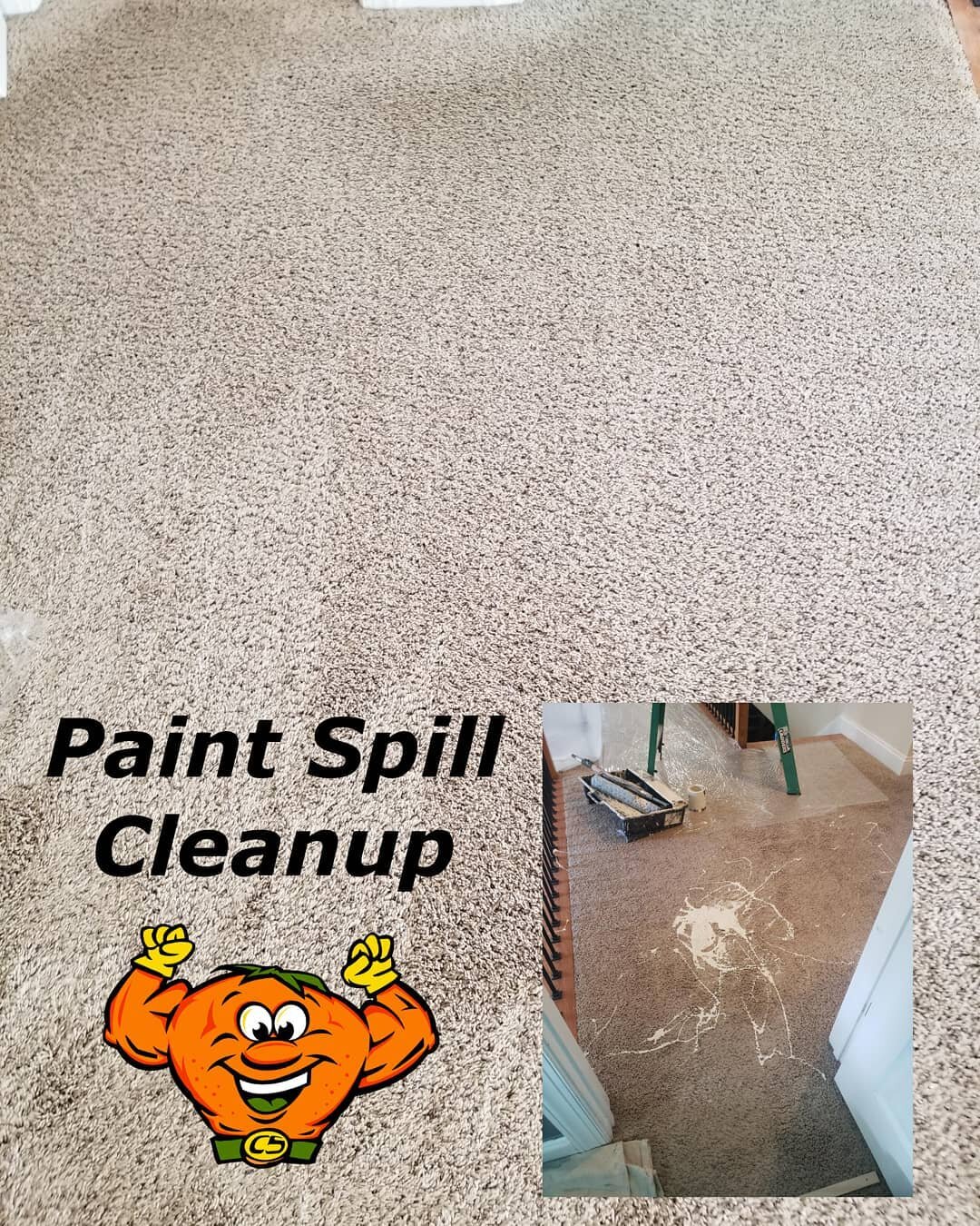 Had an emergency cleanup today with spilled latex paint. Key to cleaning up this type of accident is making sure water is applied to keep everything wet until help is onsite! #citrussolutions #CitruSolution #thecitrusman #paintspill #cleaning #carpet