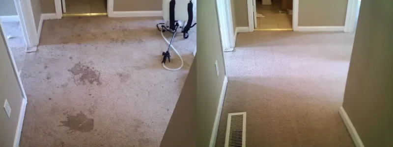 Hallway carpet with food and drink stains cleaned by CitruSolution in Marietta GA