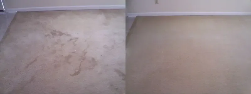Carpet with pet stain damage before and after CitruSolution cleaning in West Cobb GA
