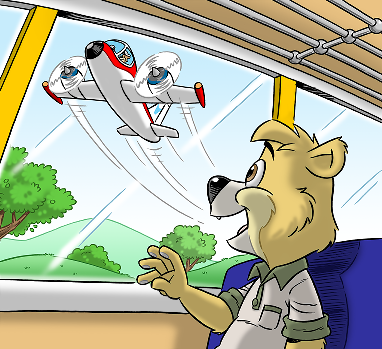 Jonny Bear Sees an Airplane
