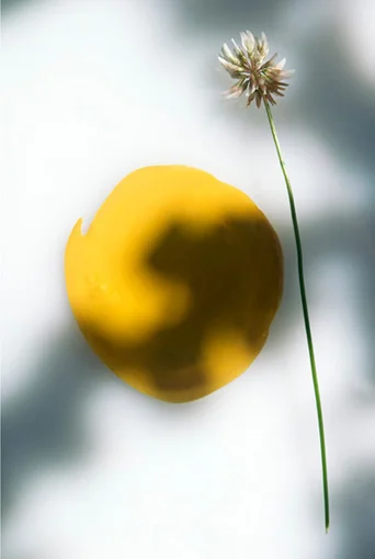 co05.jpg