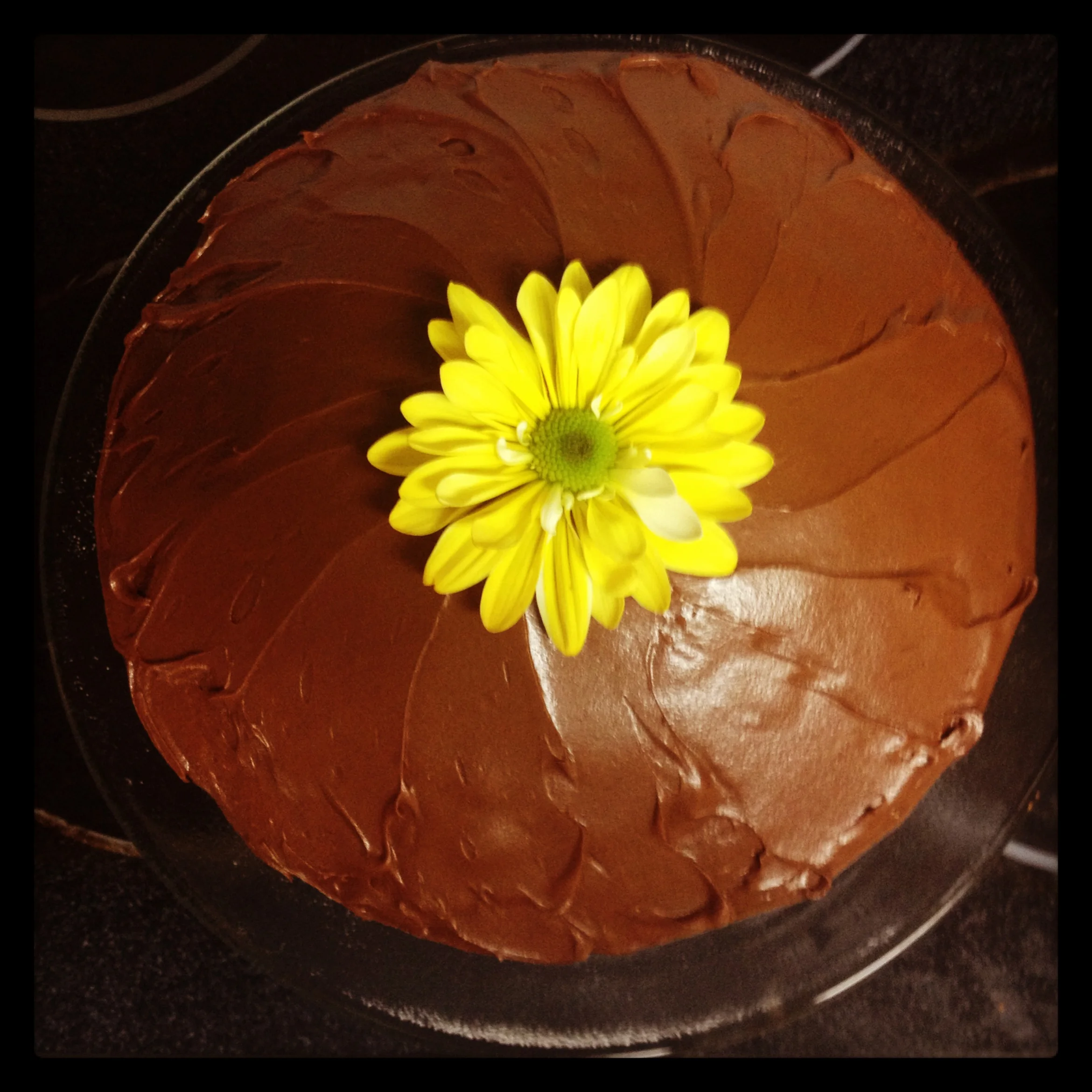 Golden Butter Cake w/ Chocolate Frosting