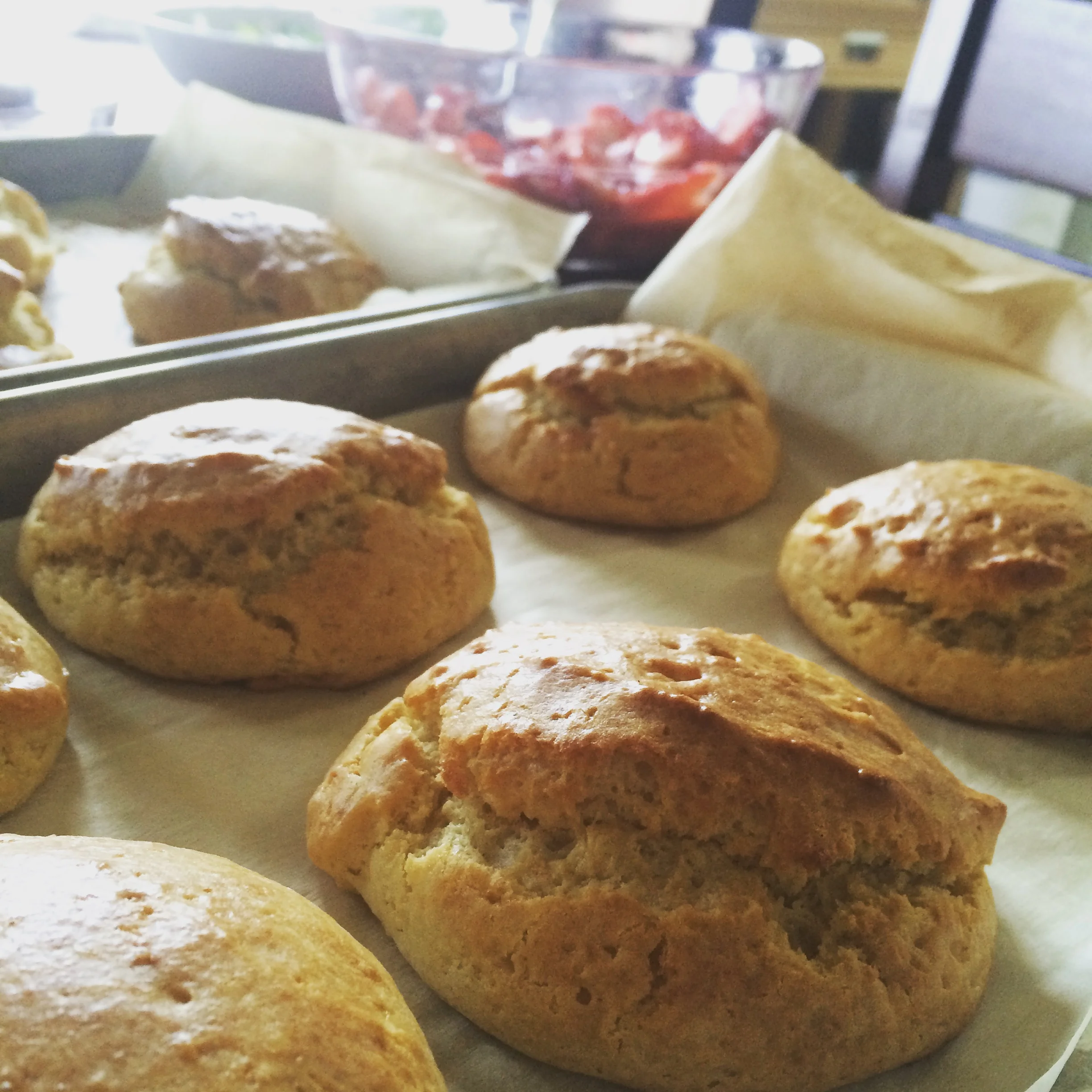 CREAM SCONES