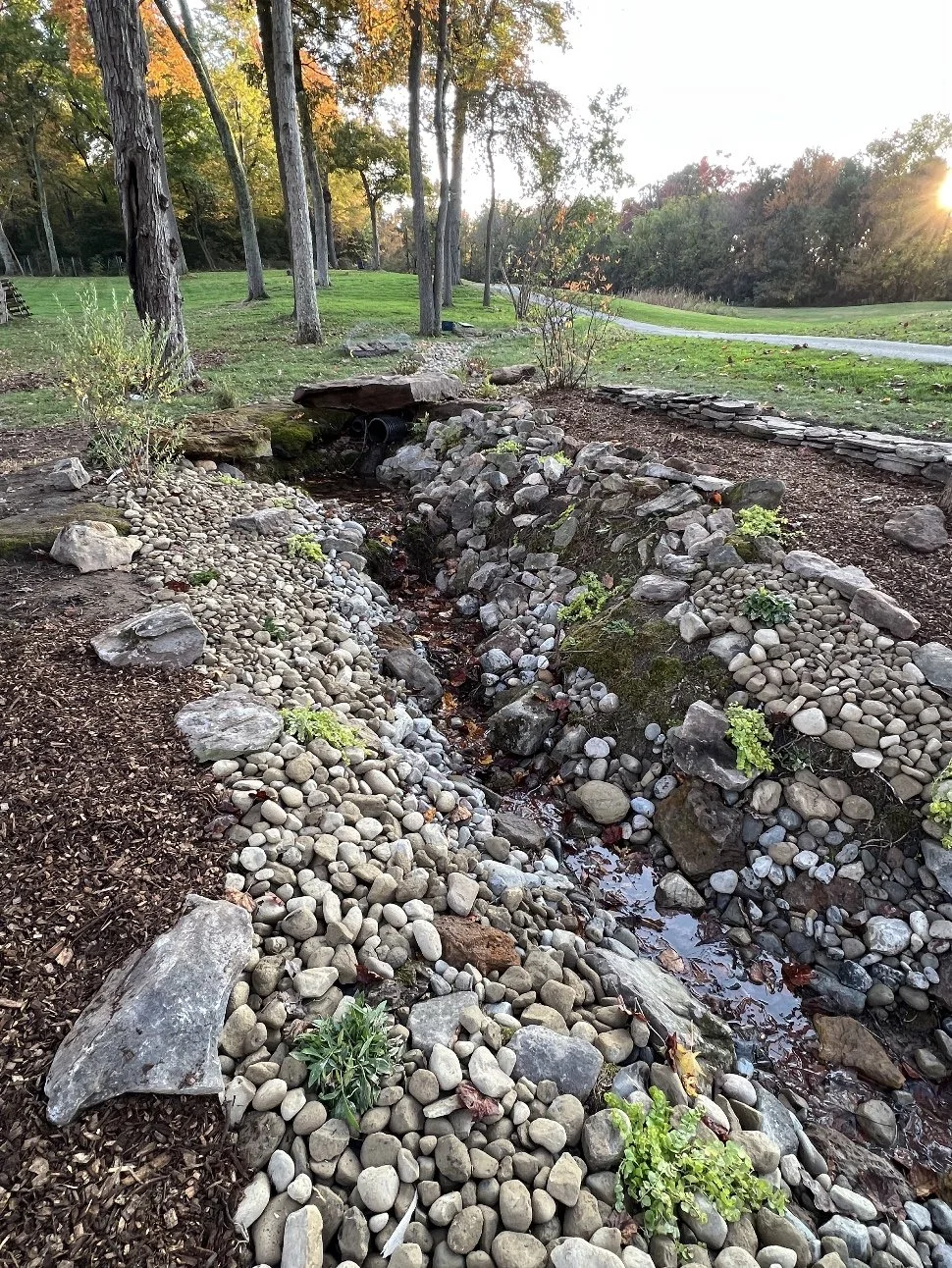 The Benefits of a Rain Garden