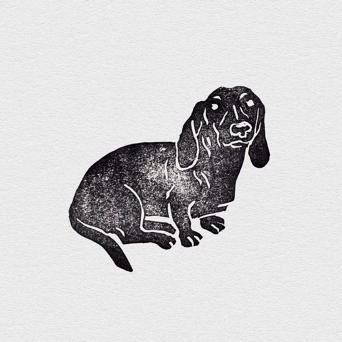 Been doing some stamp carving here and there and love how this one of my boy Desmond turned out 🥹 swipe thru to see the muse himself 🤍🙌

#illustration #dachshund #dachshundart #stamping #stampcarving #printmaking #dogillustration #dogart #petportr