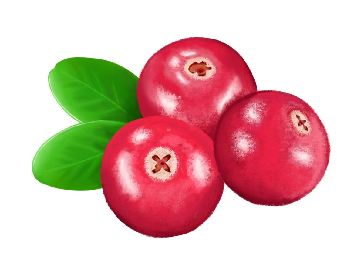 Cranberry.jpg