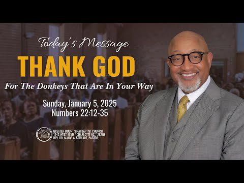 Thank God for the Donkeys That Are In Your Way