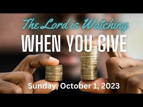 Slide 24