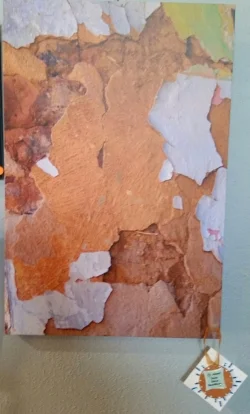 Layers of Time, photograph by Betty Carlson of North Loup