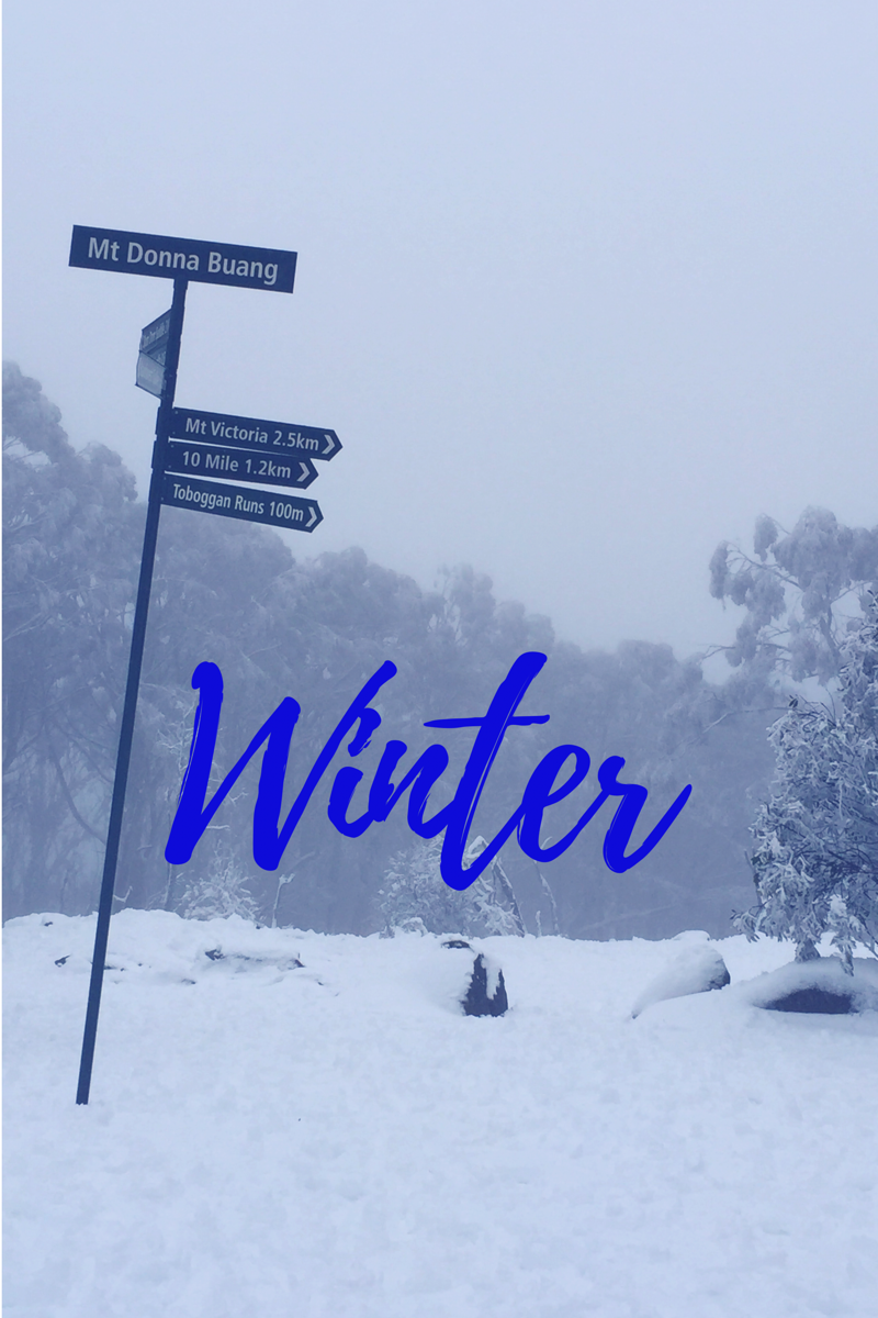 Winter.png