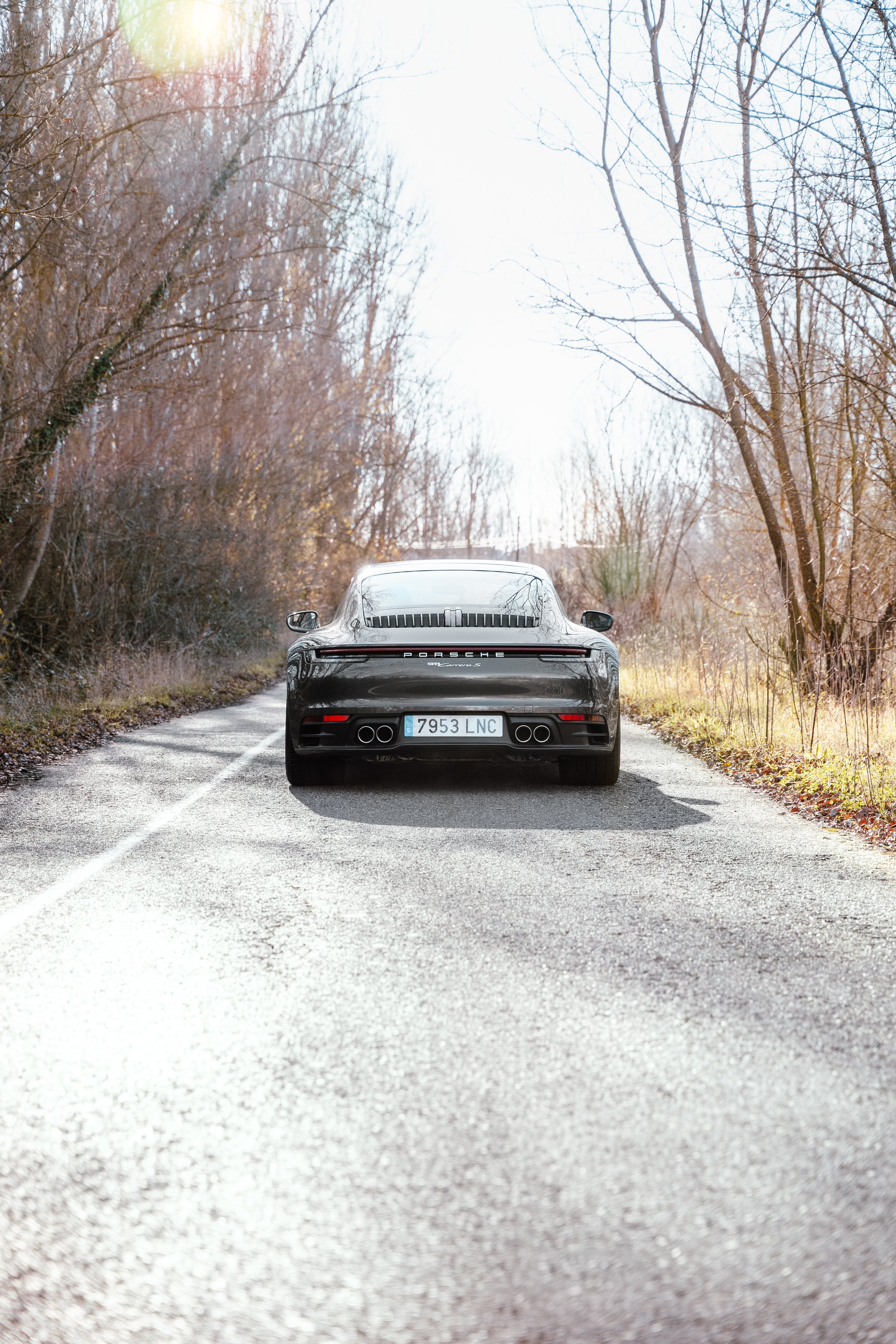PORSCHE_CARRERA_SRB_0002.jpg