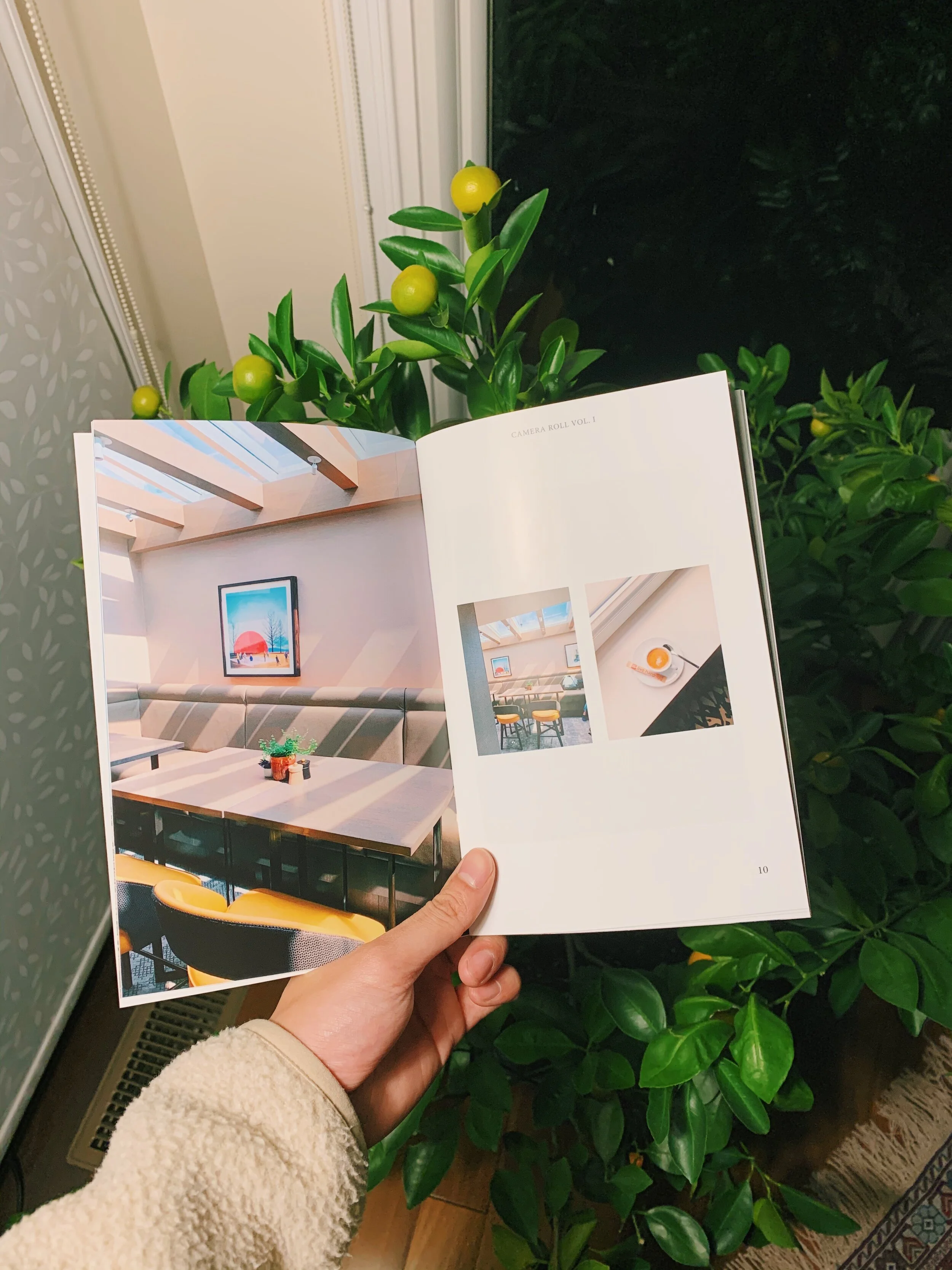 Camera Roll Vol. 1 Zine