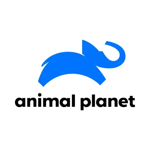 animal-planet-logo-corey-carthew-uneo-media-500-500.webp