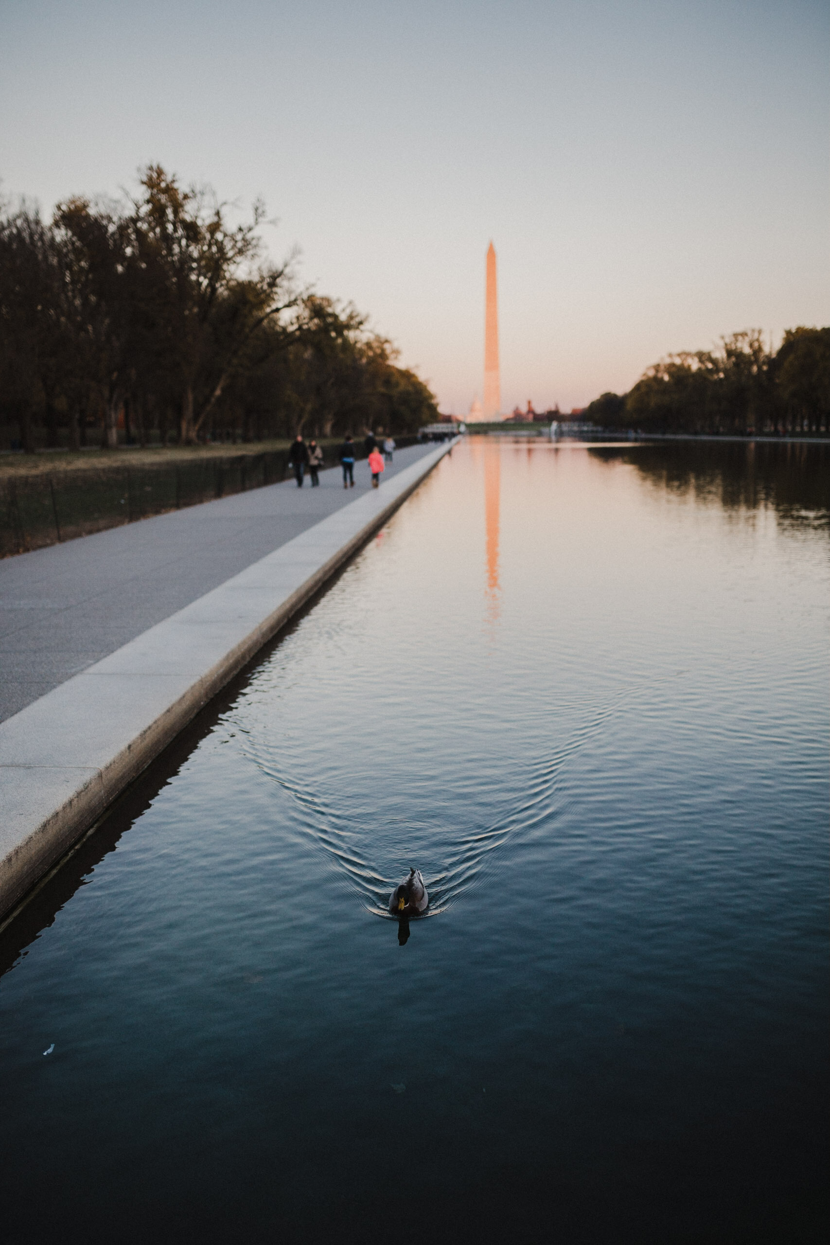 Washington-227.jpg