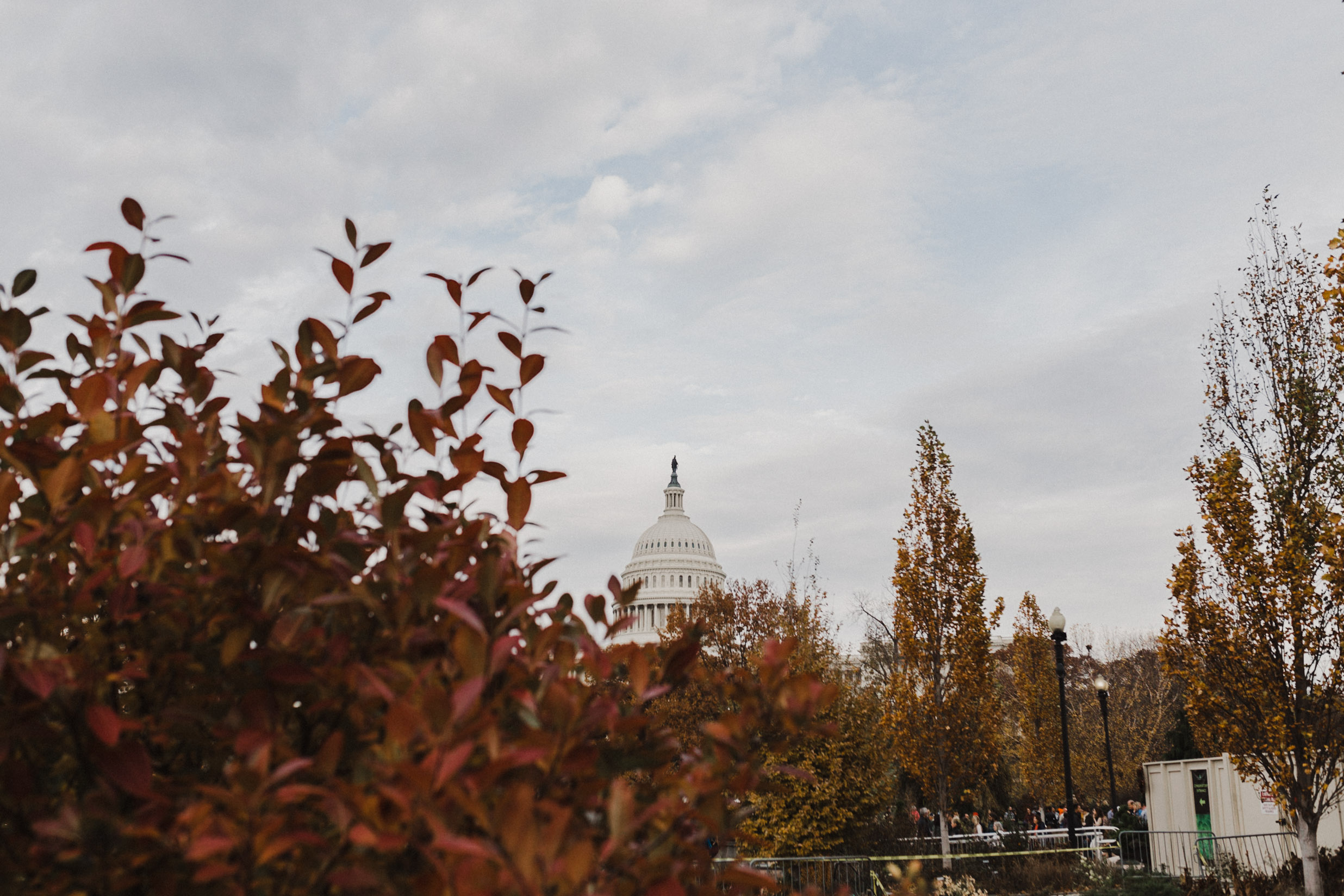 Washington-422.jpg
