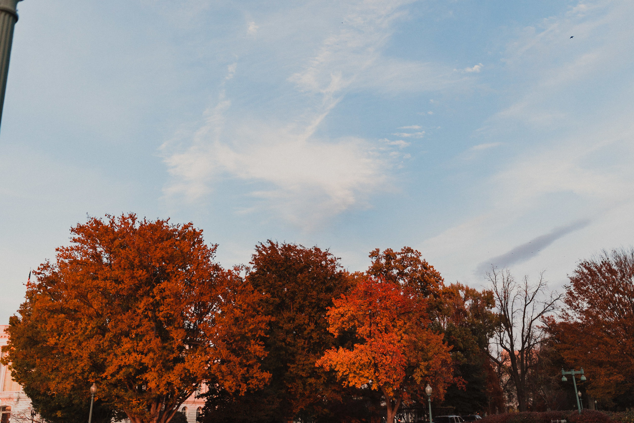 Washington-497.jpg