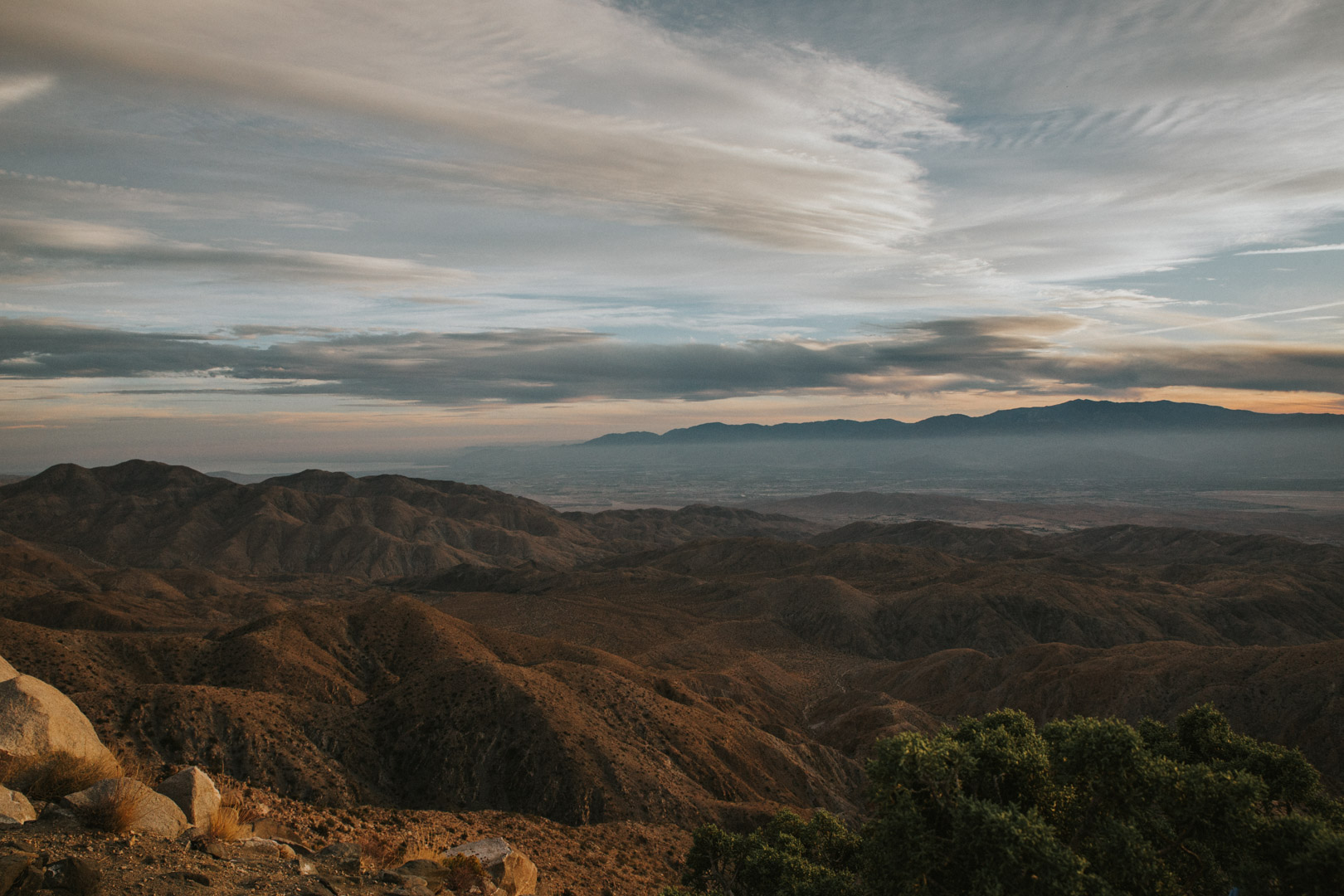 Joshua_Tree-393.jpg