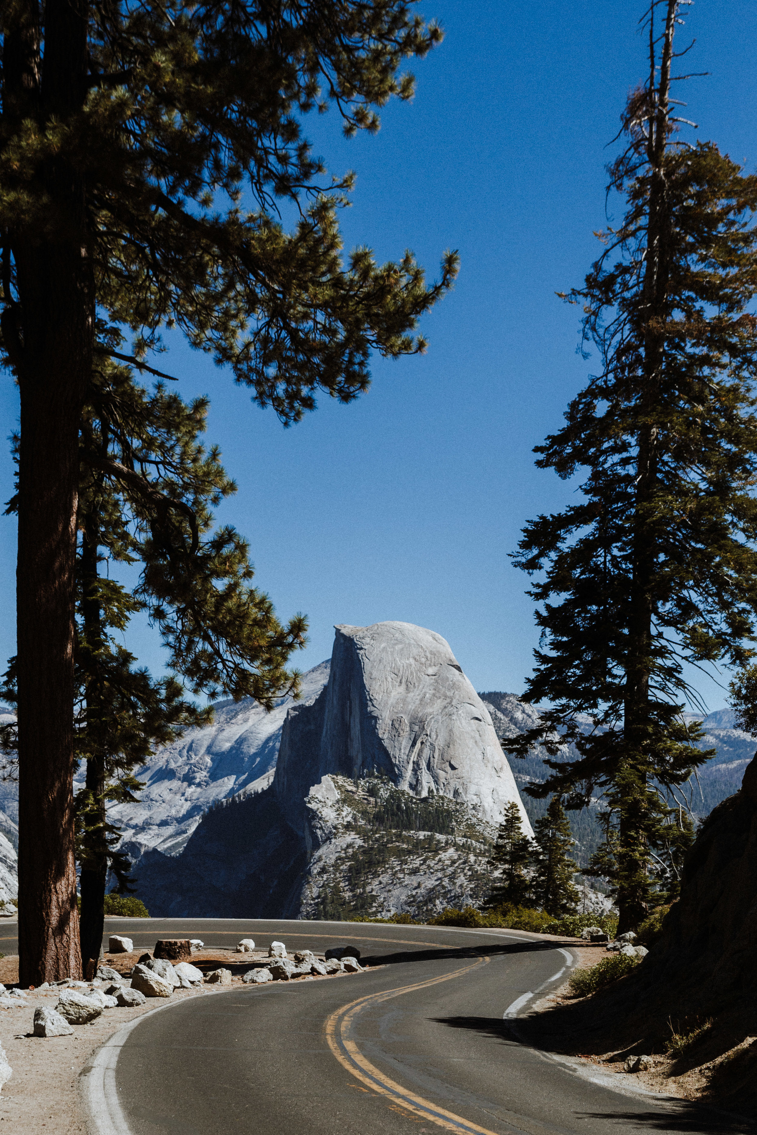 Carianne-Trevor-Yosemite-62.jpg