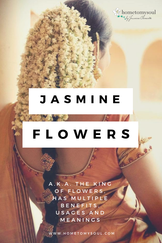 jasmine.png