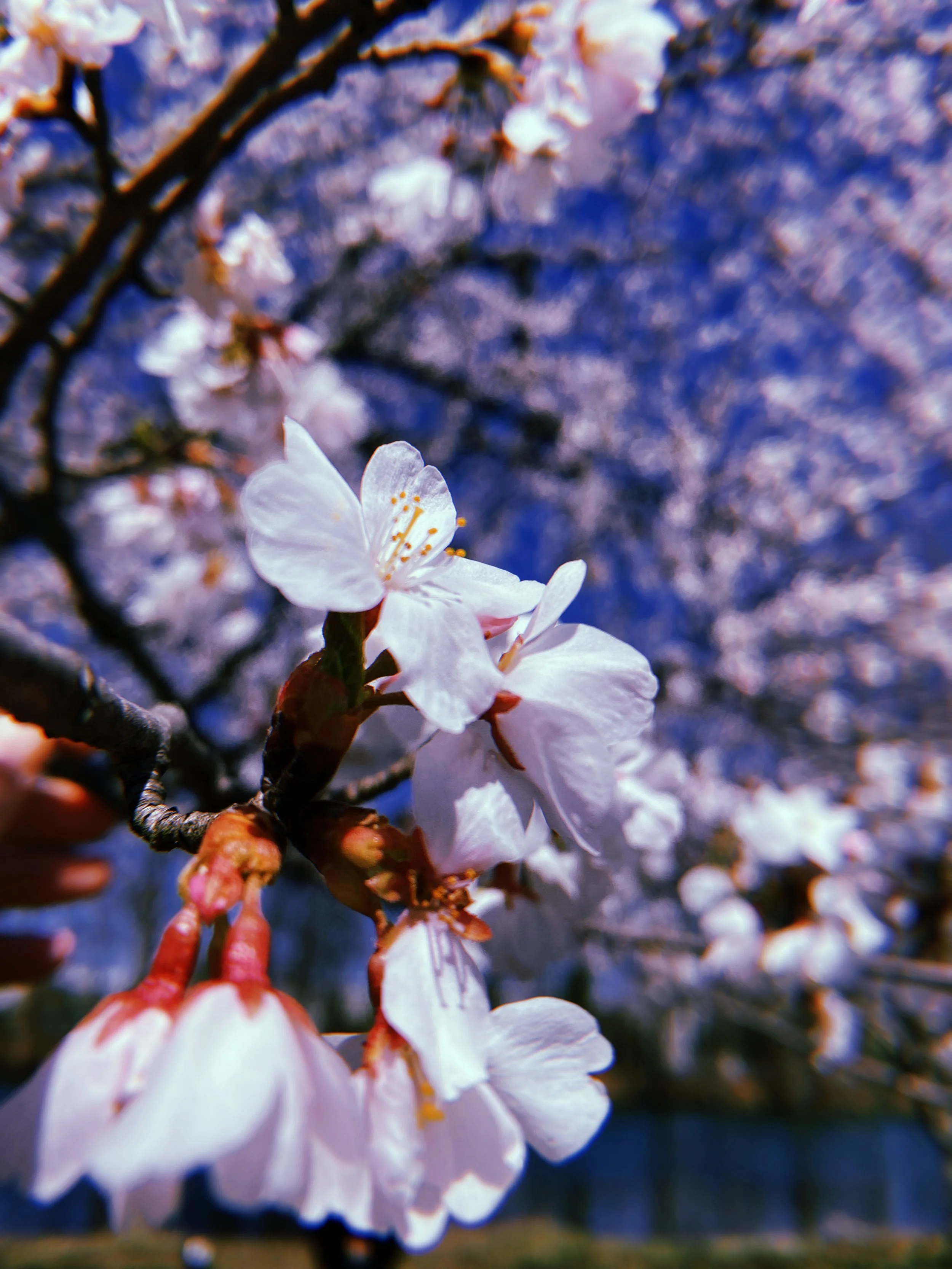      

 
   It’s been a while so you get two songs and some pics. Peace, love, and art.  —Cap 
 




















  
  



                 &lt;iframe src=&quot;//www.youtube.com/embed/ZoiL_My3RV0?wmode=opaque&quot; height=&quot;480&quot; width=&q