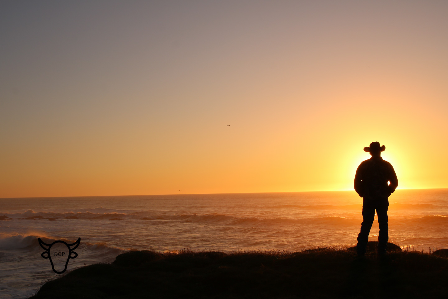 cowboy sunset 2 10262017.jpg